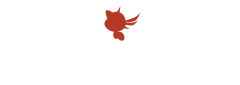 RTHK Soha