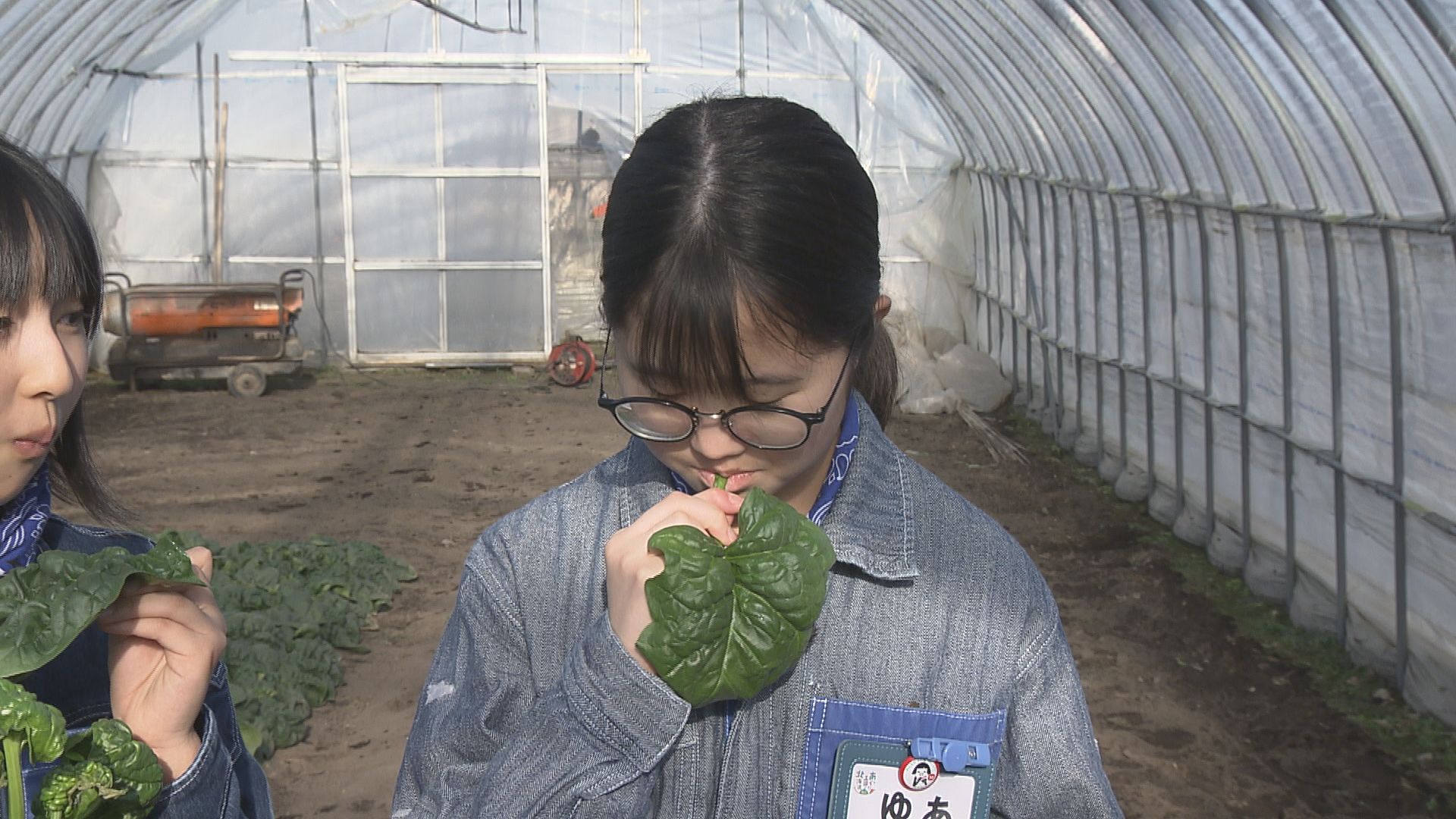 相片集