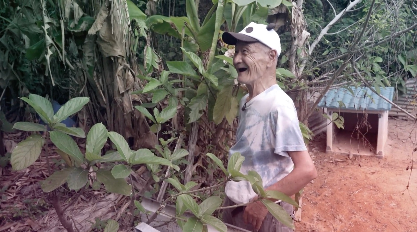 品川一誠在坪洲的小山崗上住了12年