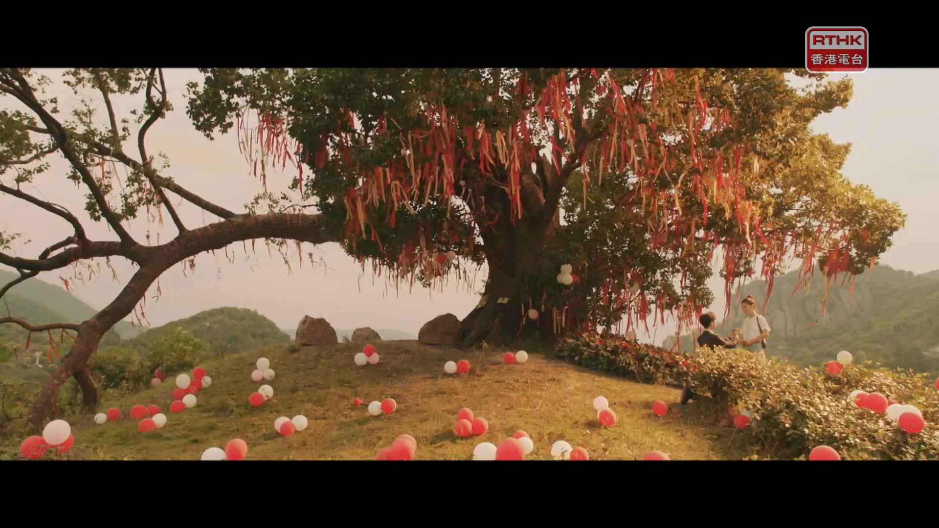 相片集